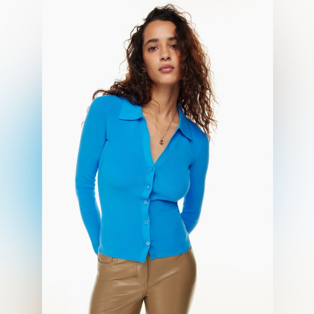 Aritzia Ribbed Button-Up Collared Sweater in Bright Blue